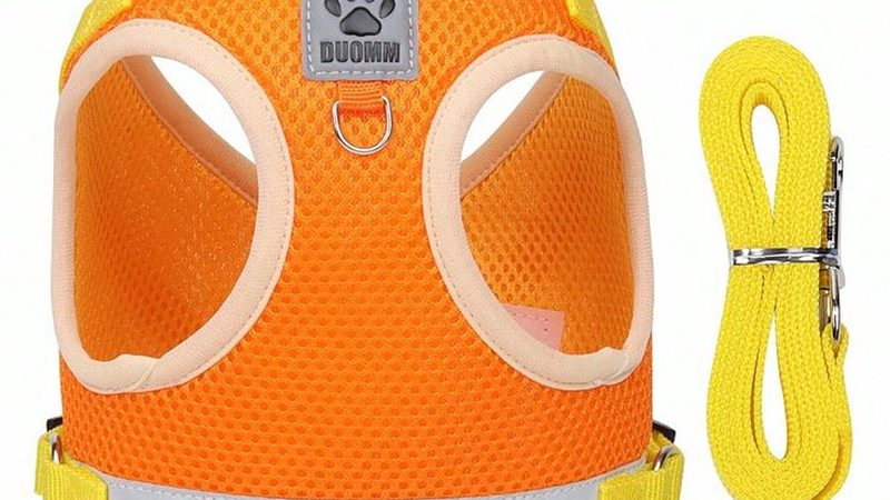 重庆保鲜冷库工程队：揭秘保鲜冷库建设的关键要素