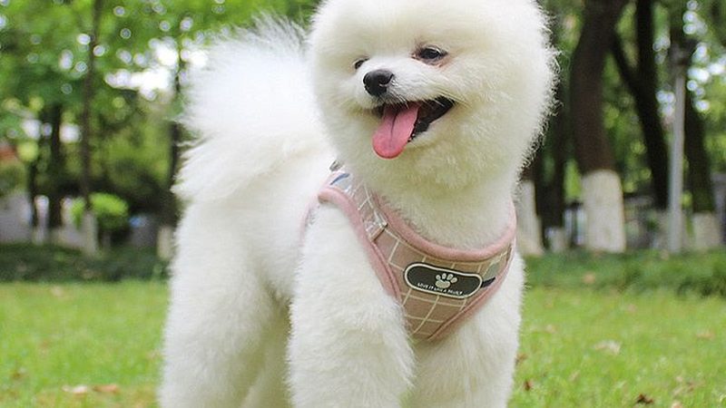 医药冷库设计：五大关键点保障药品安全**
